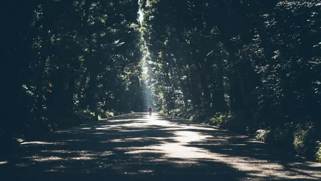 Ландшафт природы