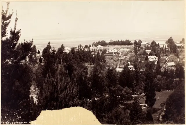 Ботанический сад от Burton Brothers