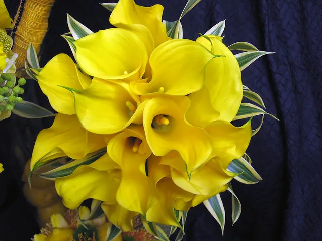 Bridal Bouquet — Dr. Delphinium Designs in Dallas www.drdelphinium.com