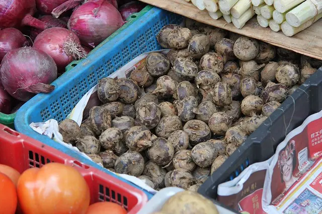 Продовольственная культура - Вы знаете, что это такое? Водяные каштаны - Рынок улиц Гонконга