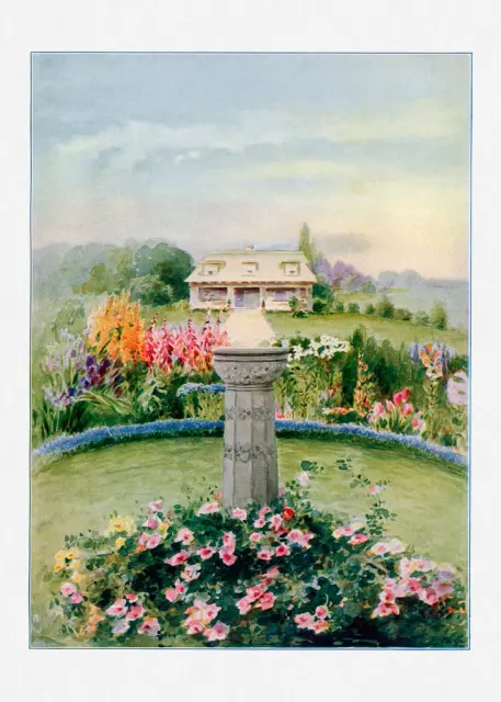 Иллюстрация Garden & House Watercolor