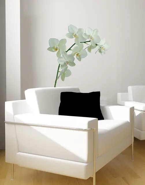 Обсуждение Nature Deco