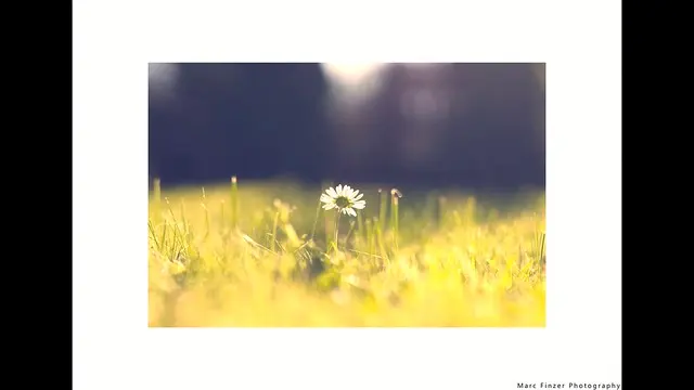 #ландшафт #природа #фотография #панорама #текущий