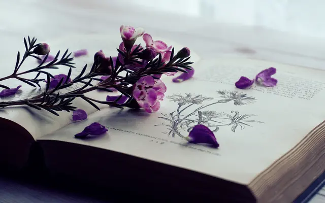 Цветочные книги