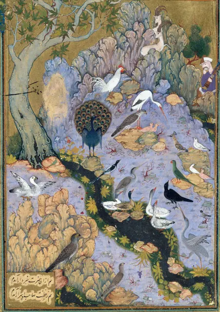 «The Concourse of the Birds», Folio 11r из Мантик аль-Таир (Язык птиц)