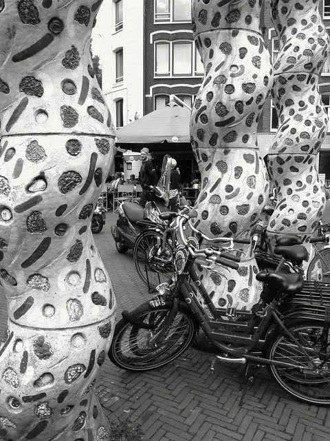 2013.06 — «Black & White Still — жизненная картина уличного скульптурного искусства», в Амстердаме, Де Пийп — район; городская фотография Не