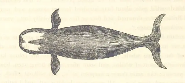 Изображение взято со страницы 76 "Journal of a Voyage to Greenland, in the year 1821. With graphic illustrations"