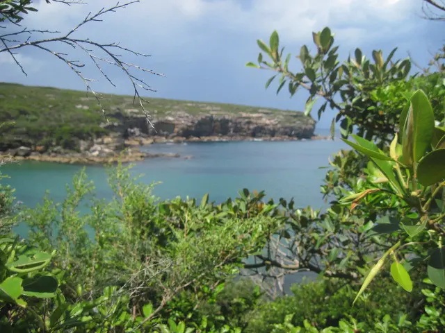 Пляжи Wattamolla Beach Travel Tribes