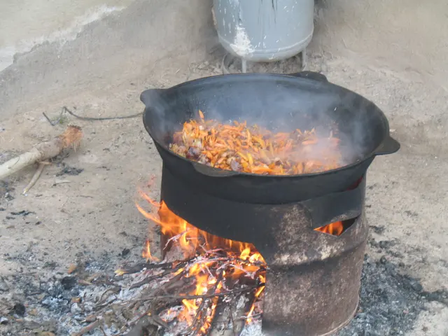 Повар Палу в Казани