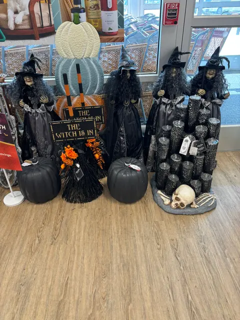 HomeGoods, Валдоста, Хэллоуин декорации 1 2025