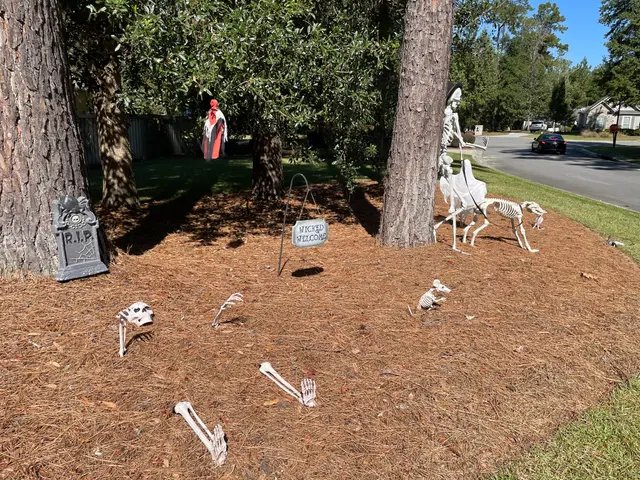 2022 Хэллоуин декорации, Home in Stone Creek, Lowndes County