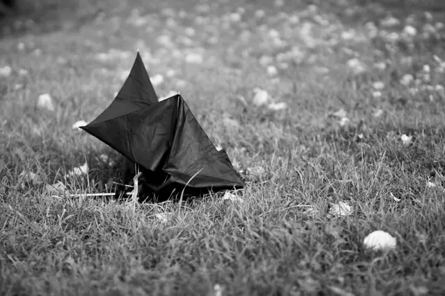 Образец сигмы 50 мм f1.4 art OK 10