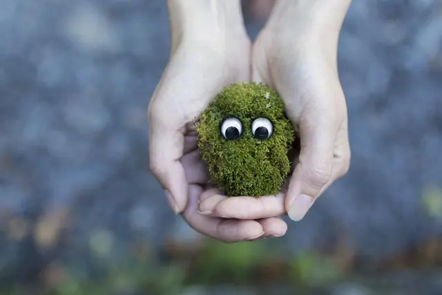 Руки Googlyeyes