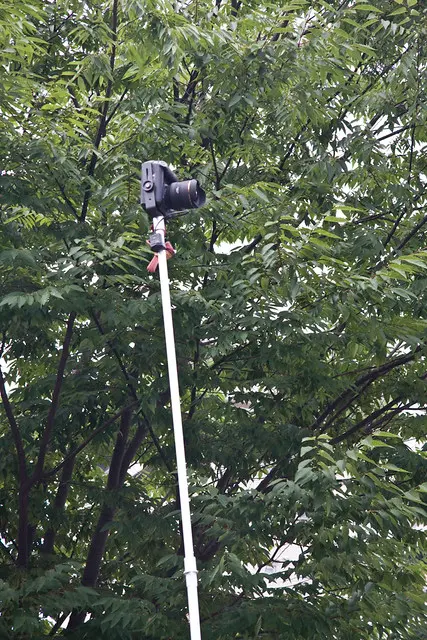 Творческая фотография