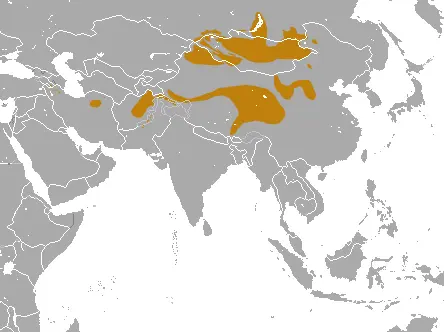 Оригинальное название: Pallas's Cat Area