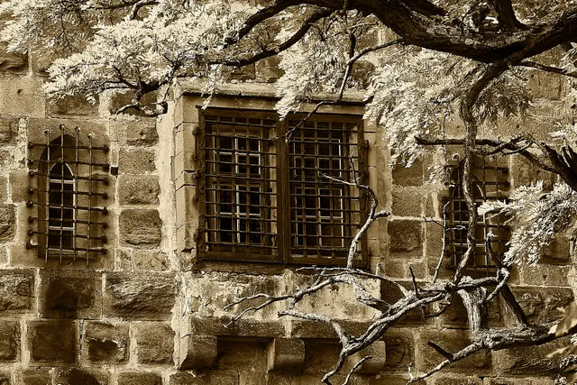 Фотографы расширяют горизонты на конкурсе цифровой фотографии армии 2010 года 110311