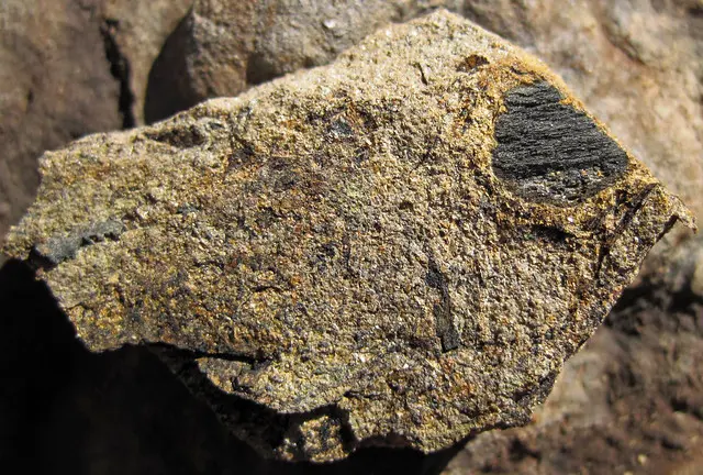 Ископаемый уголь в песчанике (Pottsville Group, Middle Pennsylvanian; Symmes Creek outcrop, Northern Muskingum County, Ohio, USA) 1