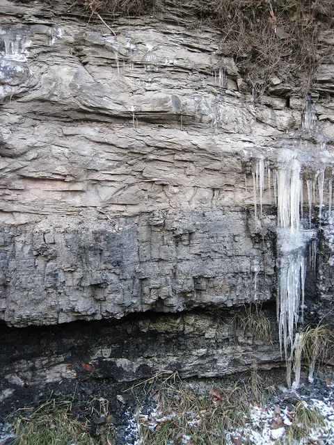 Fire Clay Tonstein below the Fire Clay Coal (Hyden Formation, Middle Pennsylvanian, 312 Ma; Hazard Community College roadcut, Hazard, Kentuc