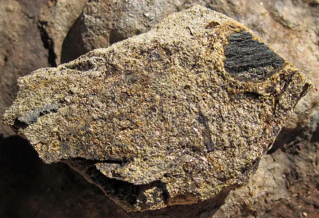 Ископаемый уголь в песчанике (Pottsville Group, Middle Pennsylvanian; Symmes Creek outcrop, Northern Muskingum County, Ohio, USA) 2