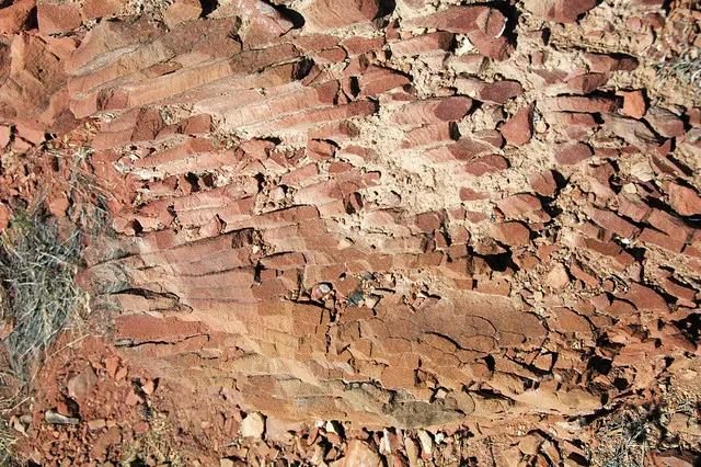 Pseudocolumnar jointing in clinker bed (Sentinel Butte Formation, Upper Paleocene; Coal Vein Trail, Roosevelt National Park, Little Missouri