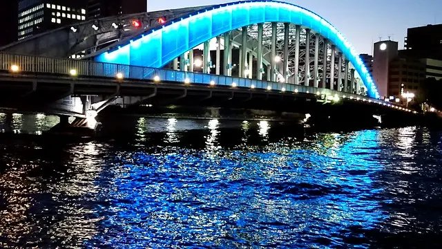 Водная архитектура Городской ночной мост Голубой