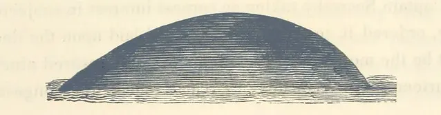 Изображение взято со страницы 63 "Journal of a Voyage to Greenland, in the year 1821. With graphic illustrations"