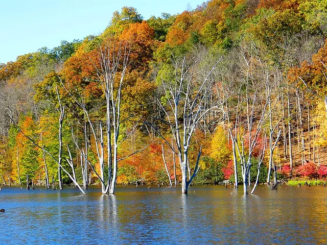 Осенние сезоны деревья отражают водные озера пейзажные цвета Leaves Autumn
