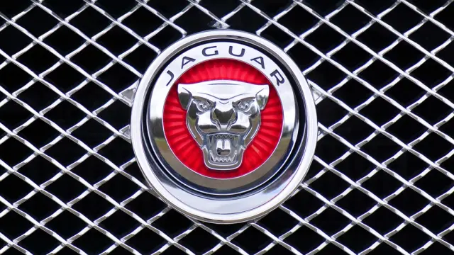 Эмблема логотипа Jaguar, автомобильный бренд