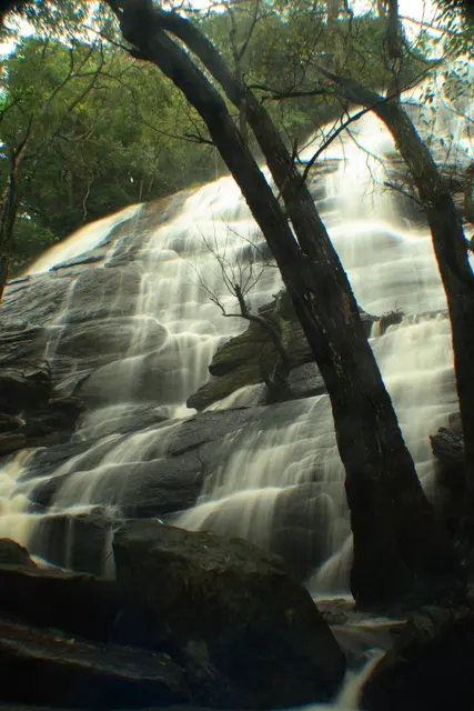 Файл: Водопады Килиюр возле Yercaud.jpg