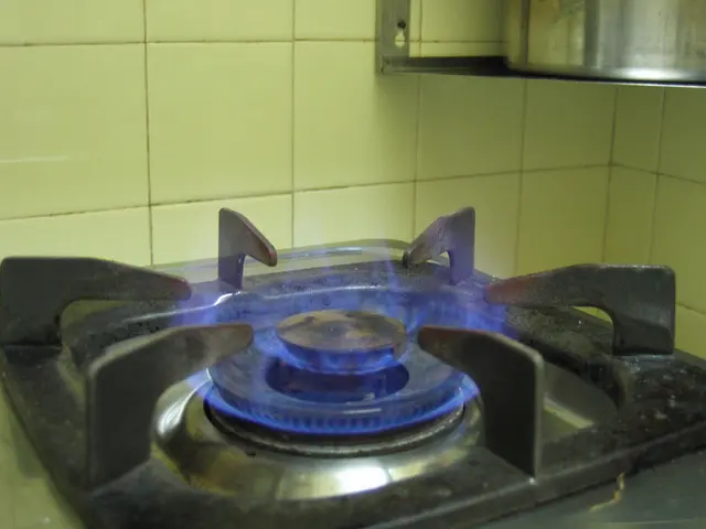 Приготовление пищи с газом