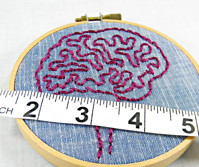 Blue Denim and Pink Brain Anatomy Mini Hoop Art. Hand Embroidered.