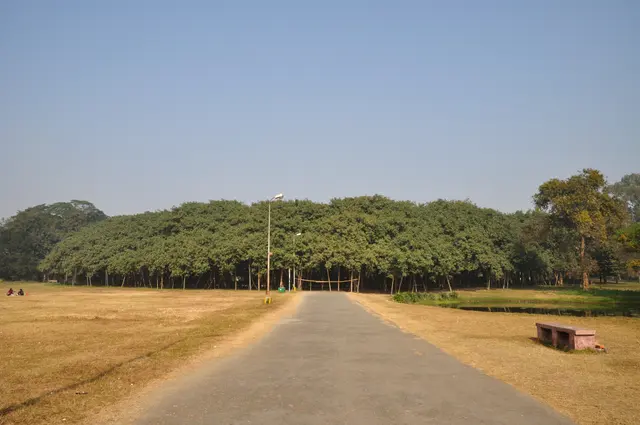 Файл: Acharya Jagadish Chandra Bose Indian Botanic Garden - Howrah 2011-01-08 9728.JPG