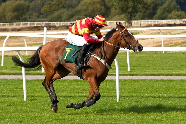 Jockey & Horse