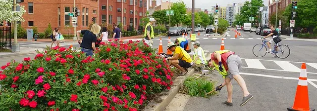 Вермонт Ave NW Gardens Посадка DC 55210