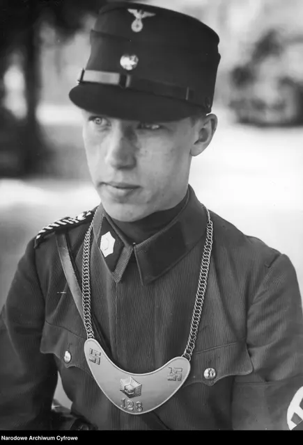 3 1 0 17 12788 40075 SA Sturmabteilung (военизированное крыло нацистской партии НСДАП) униформа для коричневой рубашки Kepi cap SA — Feldjäg
