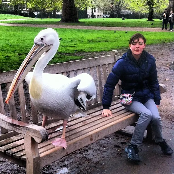 #london #uk #england #britain #europe #park #animal #pet #nature #insta_nature #woman #bird #tree #instagood #instamood #instagramhub #insta