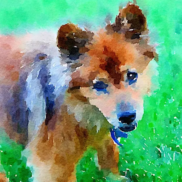 Принять #art #digitalpainting #digitalwatercolor #iphone #watercolor #waterlogue #waterlogueapp #animal #pet #dog