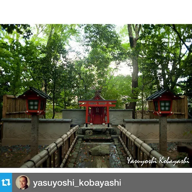 #Репост от @yasuyoshi_kobayashi ⁇ ⁇ KurumazakiJinja Shinto Shirne KYOTO ⁇ 京 ⁇ #animals #animal #pet #TagsF