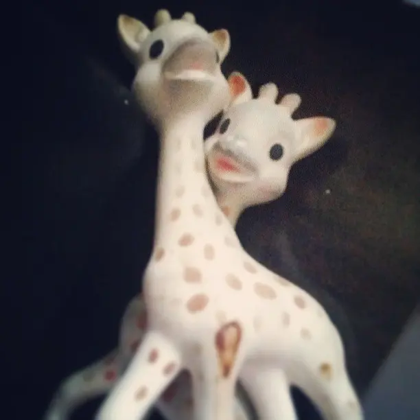 L'amour chez les girafes #toys #couple #cute #animals #animal #pet #TagsForLikes #dog #cat #dogs #cats #photooftheday #cute #pets #instagood