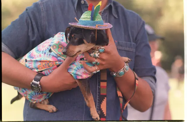 Оригинальное название: STRAW HAT wear dog at 2002 Pet Pride Day, SF.jpg