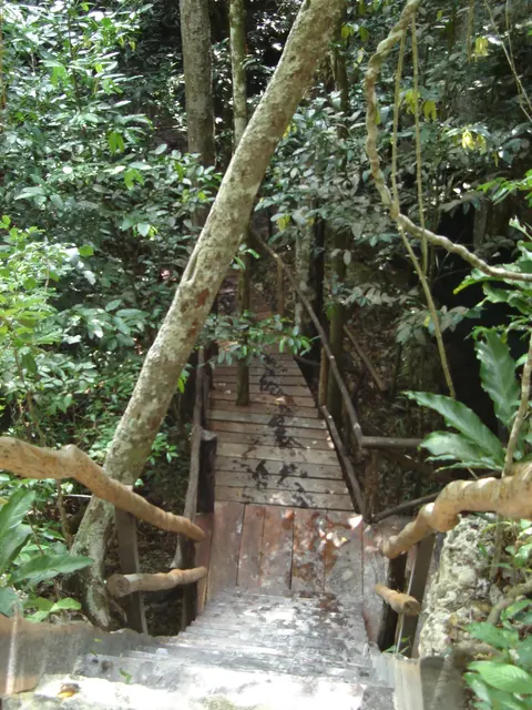 Кладбище домашних животных Cenote - Вход (4316574741)