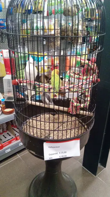 Животные для продажи внутри зоомагазина, Winschoten (2019) 07