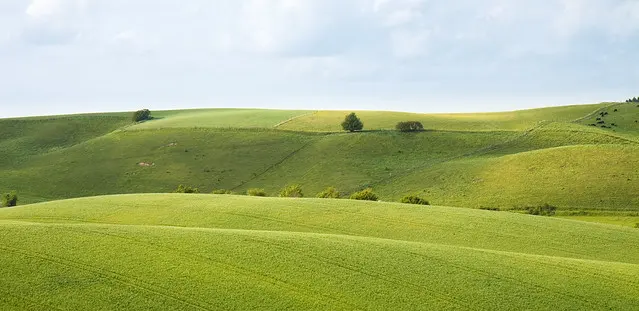 Брарфельдский пейзаж