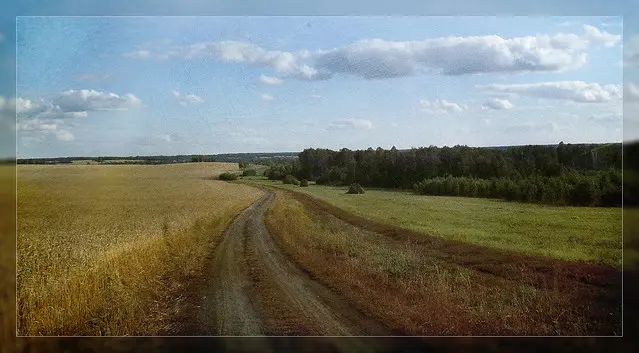 пейзаж