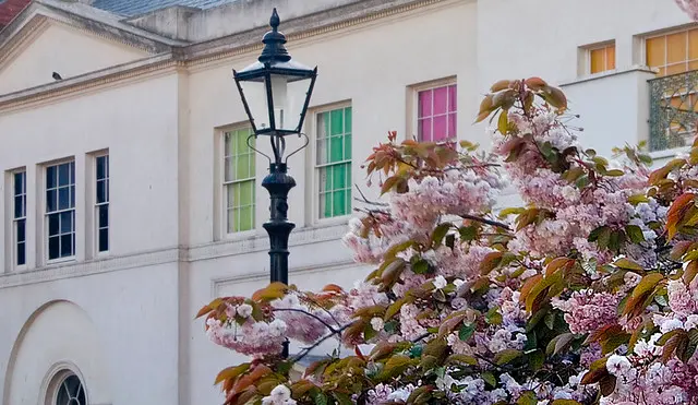 Building Facade, Gas Lamp Post, Blossom - Установка звука цветов Брайана Ино в Доме Мальборо