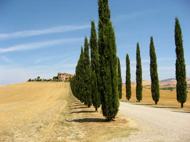 Файл: Val — d’Orcia — landscape-1.jpg
