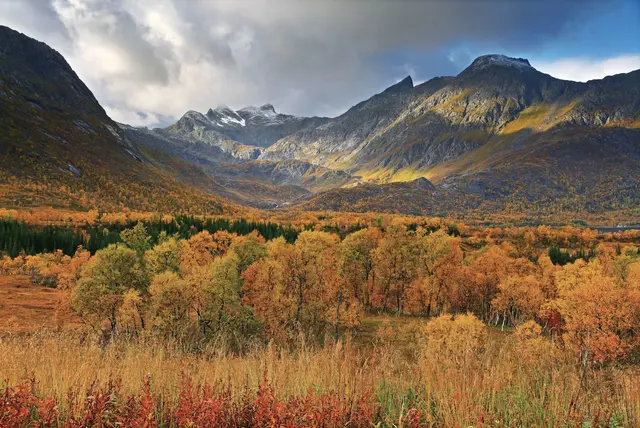 Файл: Осенний пейзаж возле Gullesfjordbotn, Hinnøya, 2010 September.jpg