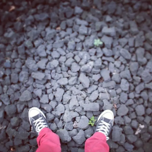 #converse #conversechucks #chucks #shoes #fashion #outfit #plussizefashion #jeans #tagsforlike #brunette #brownhair #love #me #ootd #outfitp