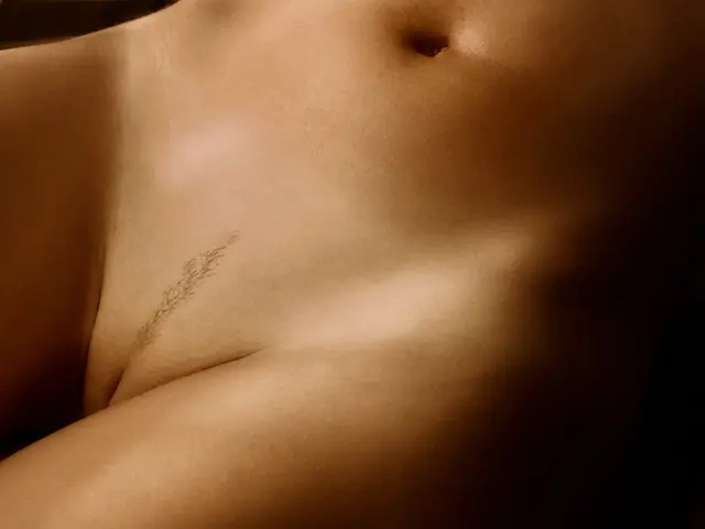 Файл: Публичные волосы (бразильская стрижка) Landing Strip style.jpg