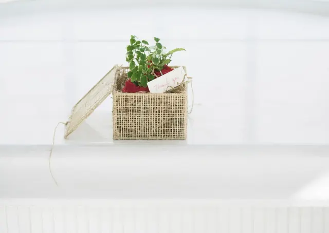 Зеленый цветок Wicker Pot Thank